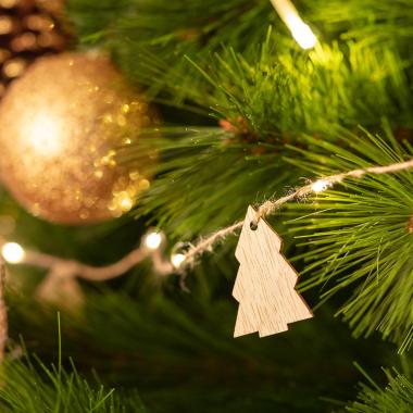 Image of Edit Tirza 2.2M Battery Operated LED Wood Fairy String Lights - 20 Lights