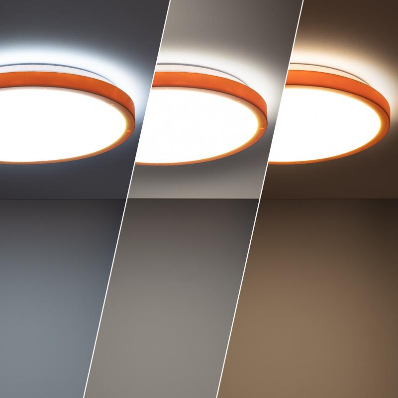 Image of Edit 19W Faina Metal Round LED Flush Light