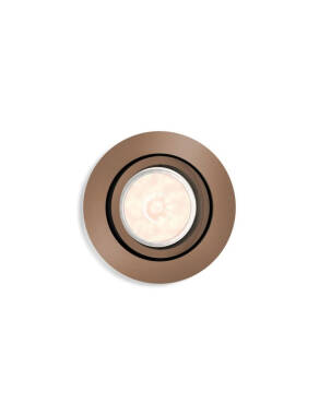 Image of PHILIPS Donegal Round Downlight Cutout 70mm