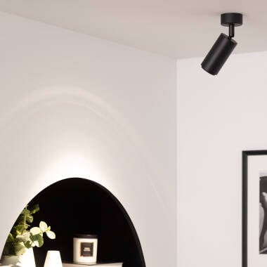 Image of Edit Agate Single Ceiling Spotlight