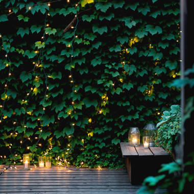 Image of Suri Solar LED Multi-Function String Lights - 30 Lights