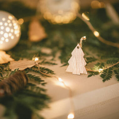 Image of Edit Tirza 2.2M Battery Operated LED Wood Fairy String Lights - 20 Lights