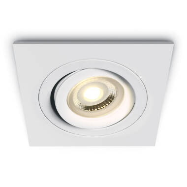Bay Square Adjustable Downlight