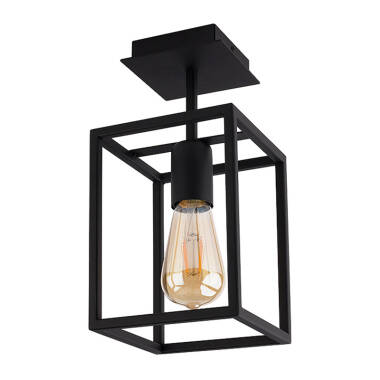 Flush Ceiling Lights