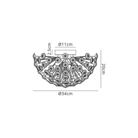 Scheme image