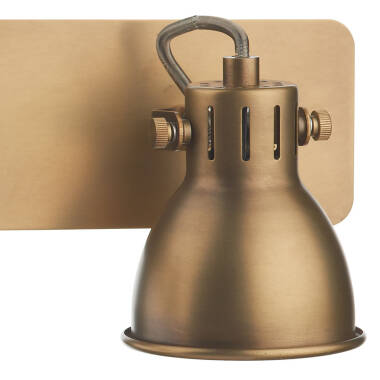 Image of Dar Idaho 2 Light Spotlight Plate