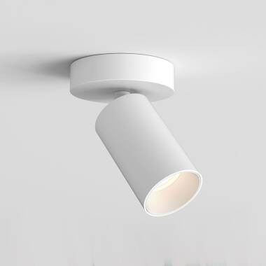 Astro Can 50 LED Single Spotlight