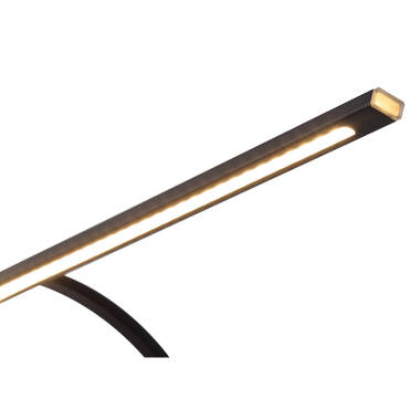 Image of Rosalyn Twin Arm LED Picture Light