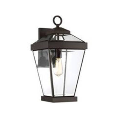 Quoizel Ravine Large Outdoor Lantern Wall Light