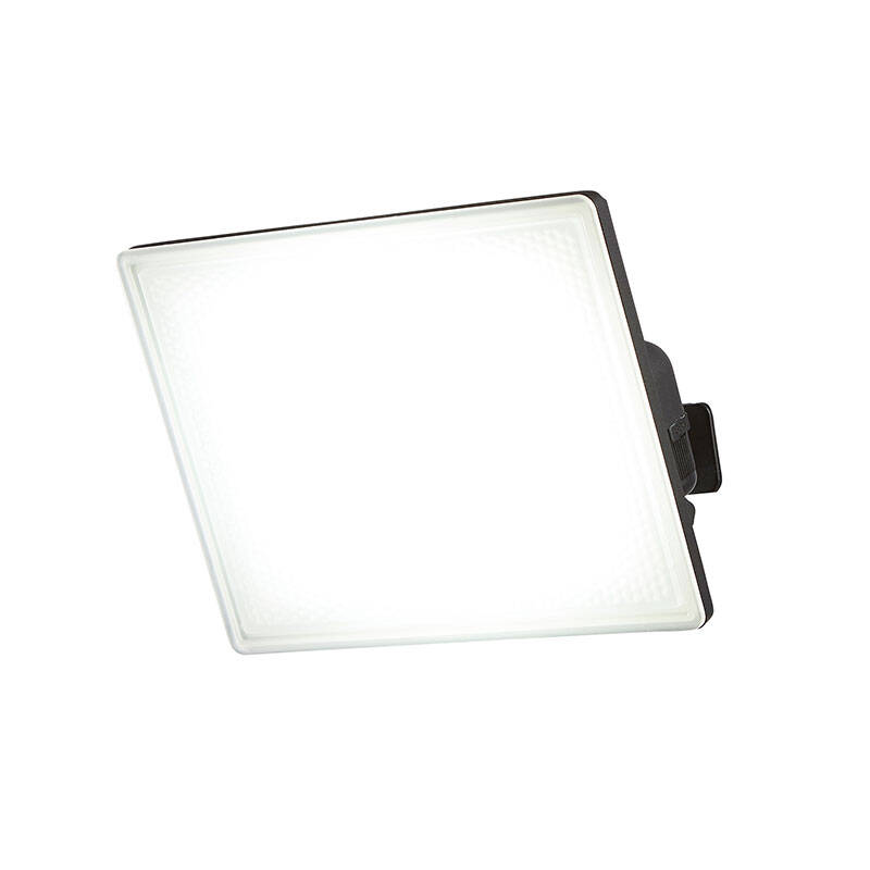 Image of Forum Visby 30W LED Floodlight