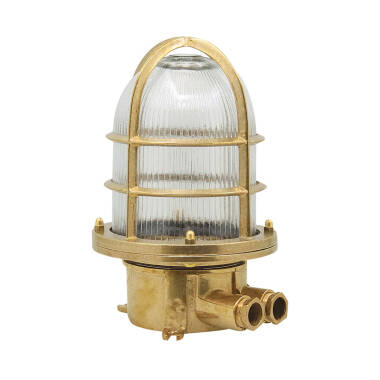 Edit Coastal Coral Outdoor Ground Light