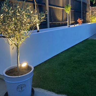 Image of EasyFit 12V Garden Lights Fern LED Spotlight Kit 3 Lights