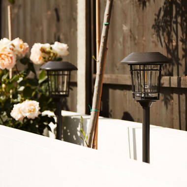 Image of Suri Solar Metal Cage Stake Lights - Set of 2
