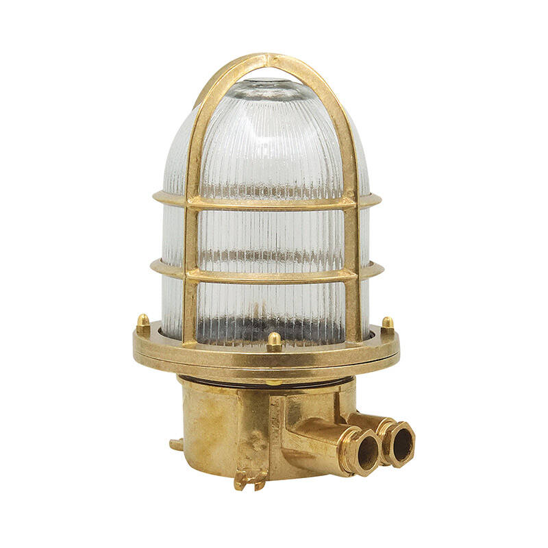 Image of Edit Coastal Coral Outdoor Ground Light
