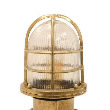 Image of Edit Coastal Coral Outdoor Ground Light