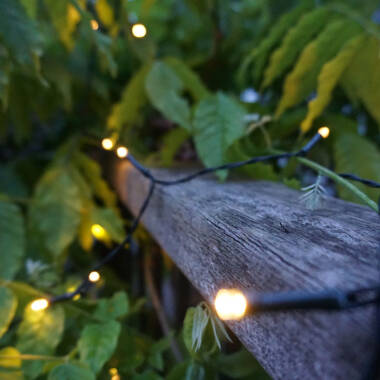 Image of 19.9M Suri Solar LED String Lights - 200 Lights