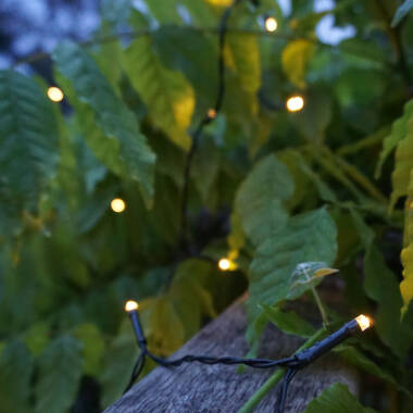 Image of 19.9M Suri Solar LED String Lights - 200 Lights