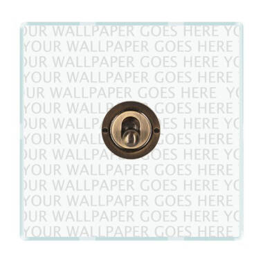 Wisteria Perception Clear Perspex 2 Way Toggle Switch