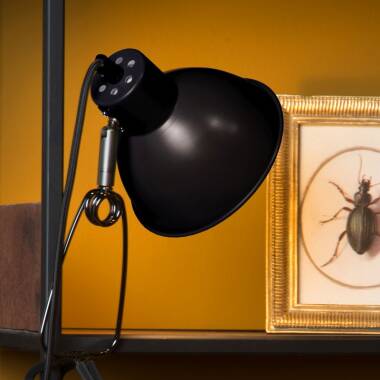 Image of Lucide Moys Clamp Desk Light