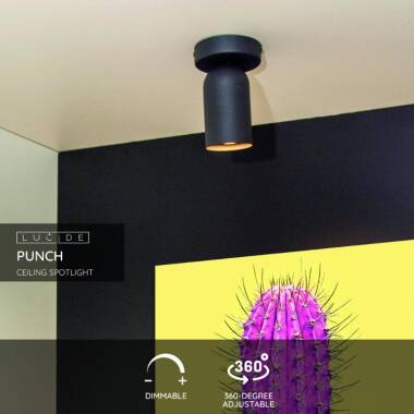 Image of Lucide Punch Single Spotlight