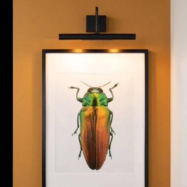 Image of Lucide Vinz Picture Light