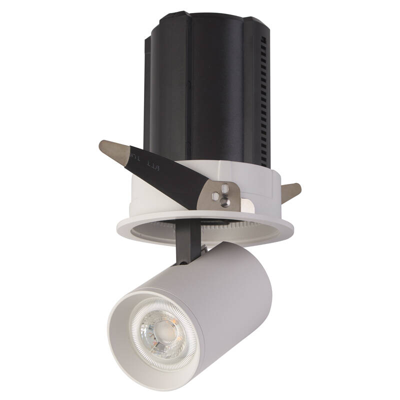 Image of Envirolight Pull Down Adjustable Downlight