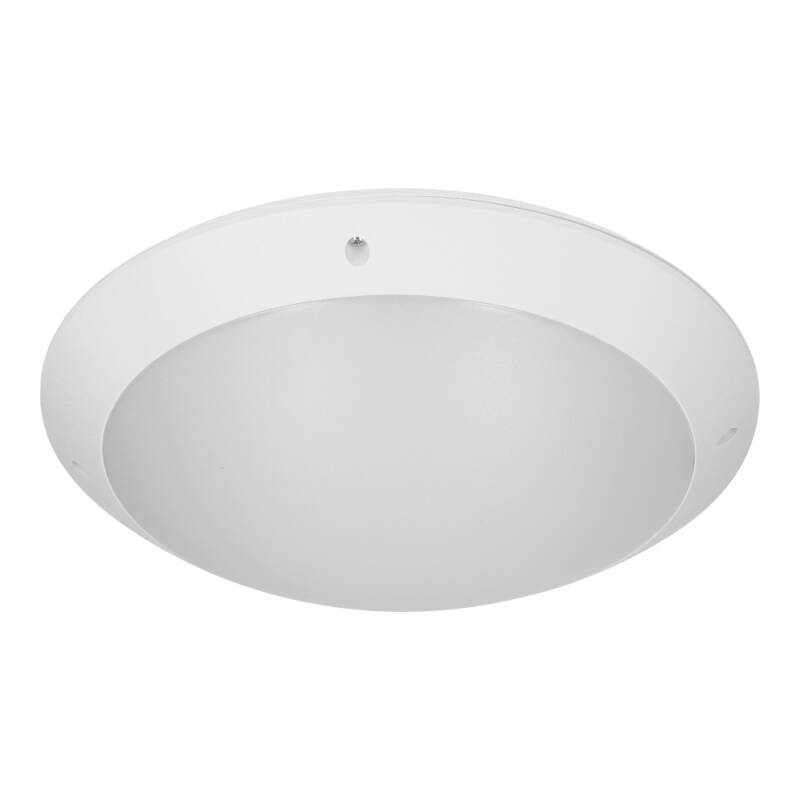Image of Protect 12W Cool White Outdoor LED Flush Light