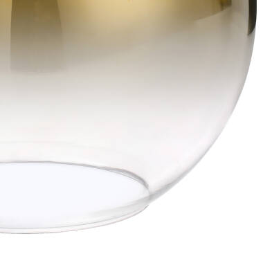 Image of Griffin Glass Ceiling Pendant Shade