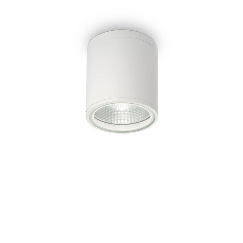 Image of Gun Outdoor Flush Ceiling Light