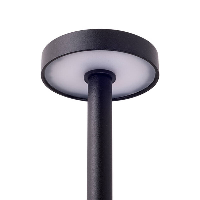 Image of Easyfit Pro 24v Garden Lights - Foxglove LED Outdoor Feature Stake Light