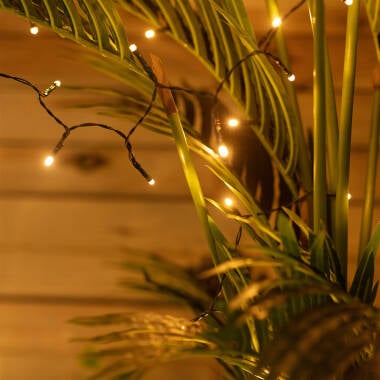 4M Suri Lasan Solar LED String Lights