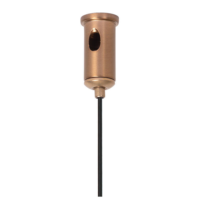 Image of Lucide Linial 1 Circuit Smart Track Suspension Cable