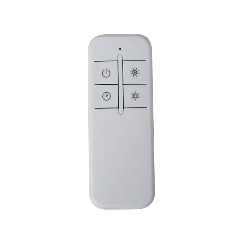 Image of Easyfit Remote Control For Ash Garden Light Kits RGB