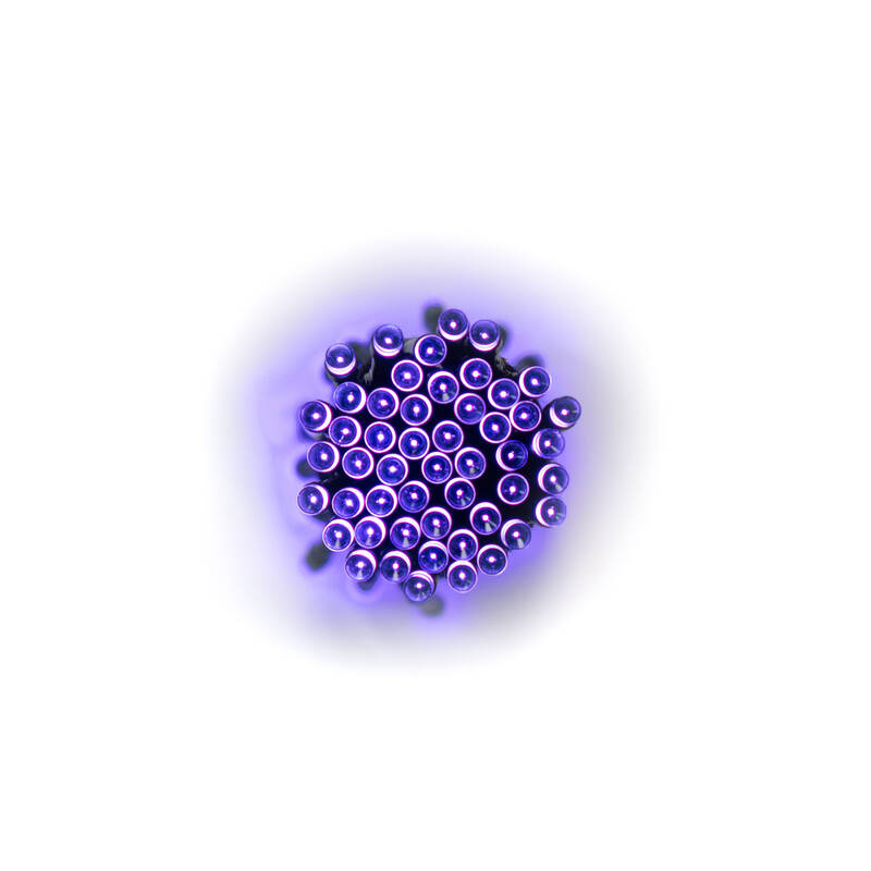 Image of Suri Zesty Solar LED Fairy Lights