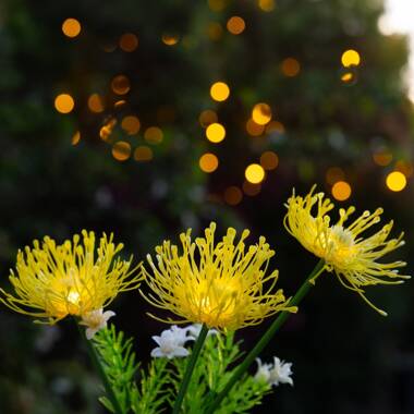 Suri Florin Solar LED Flower Light