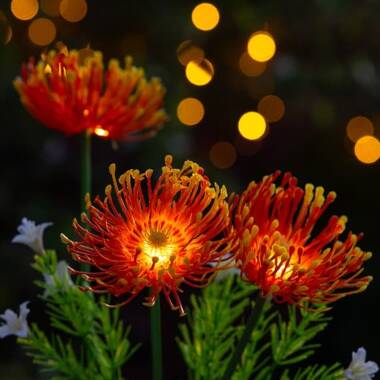 Suri Florin Solar LED Flower Light