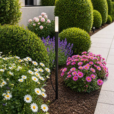 Easyfit Pro 24v Garden Lights - Sage LED Outdoor Feature Stake Light