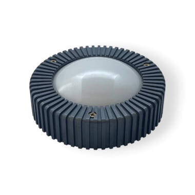 Image of Edit Coastal Cowrie Outdoor Flush Wall Light