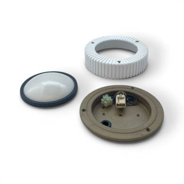 Image of Edit Coastal Cowrie Outdoor Flush Wall Light