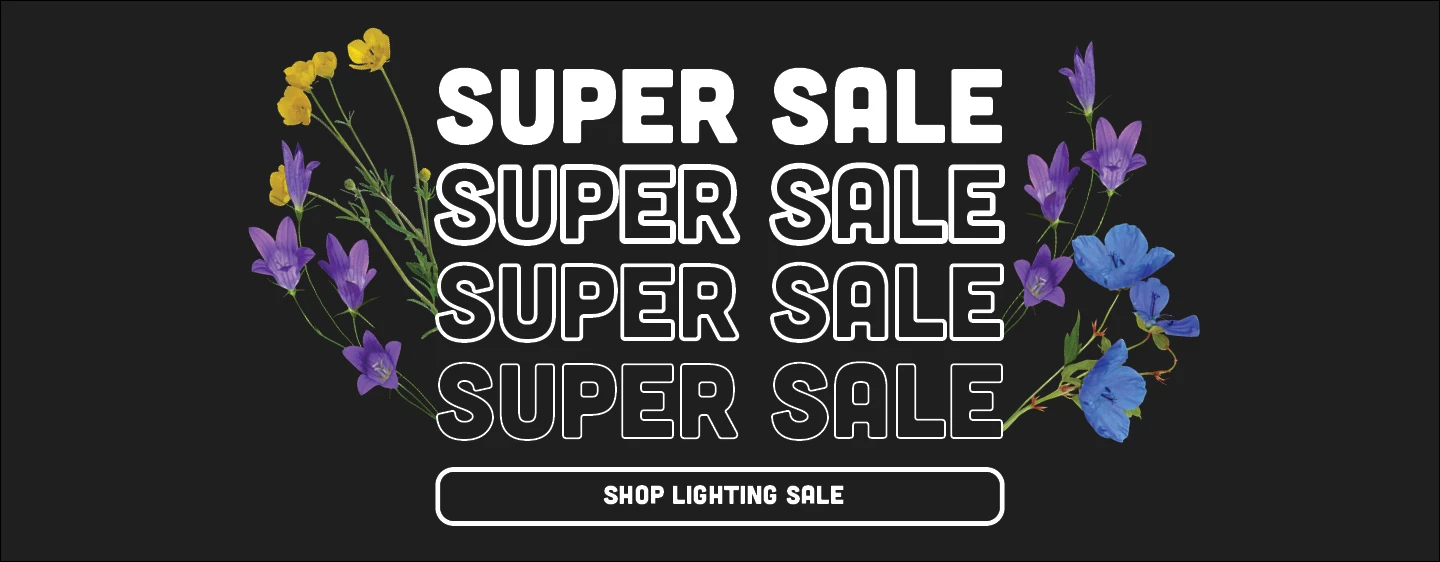 Shop Super Sale