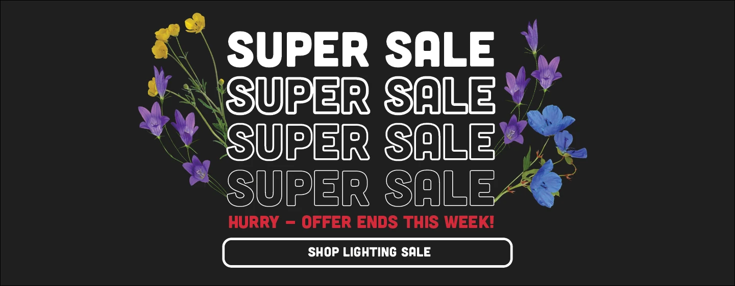 Shop Super Sale